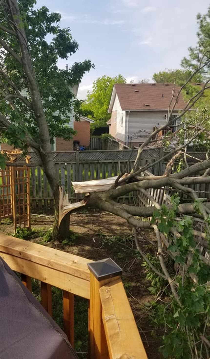Storm-damaged tree removal from a residential property