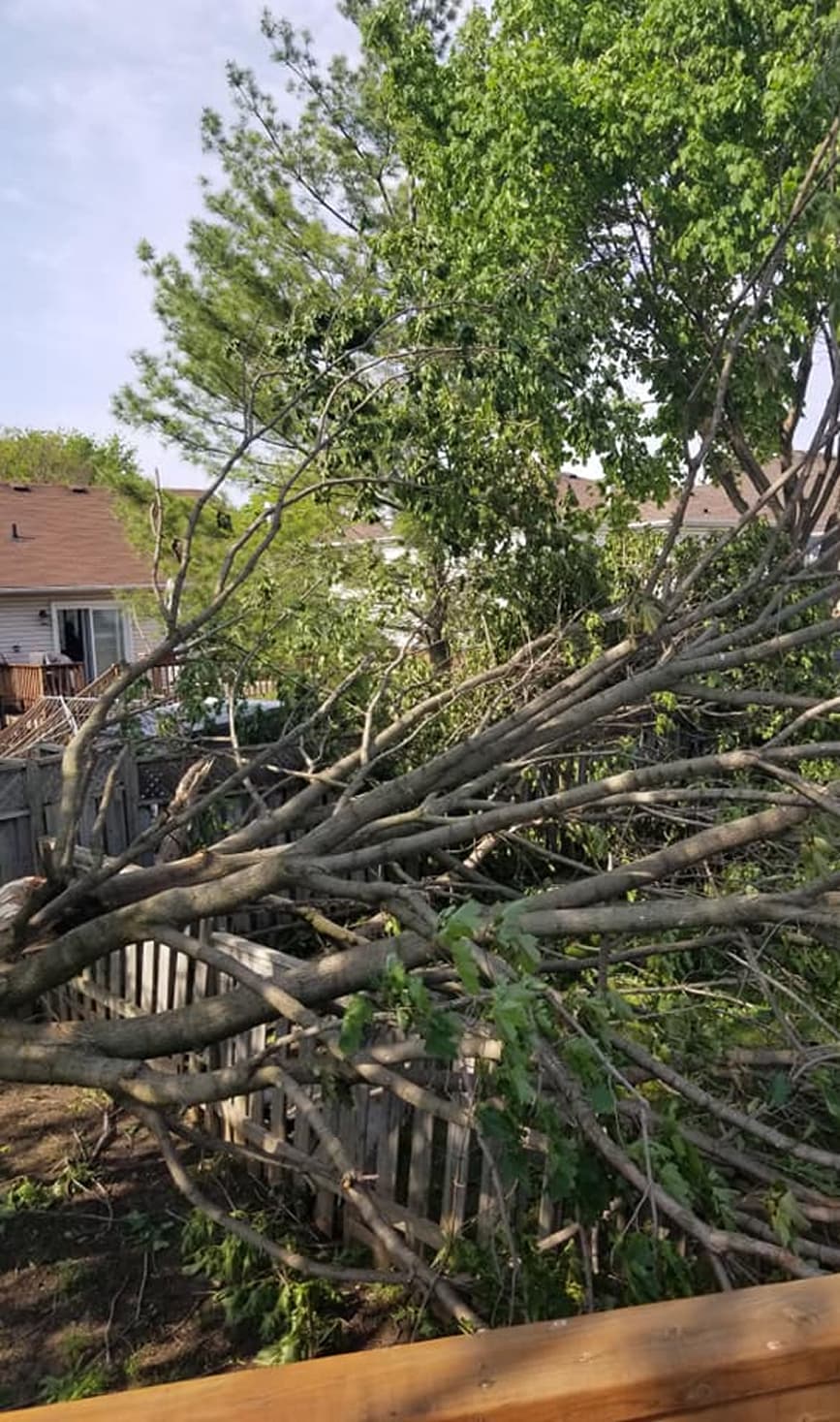 Stewart Services crew clearing storm debris