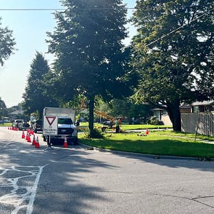 Stewart Services crew performing professional tree removal